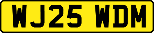 WJ25WDM
