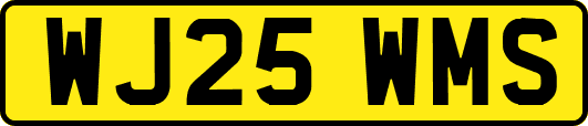 WJ25WMS