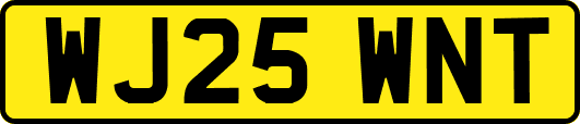 WJ25WNT