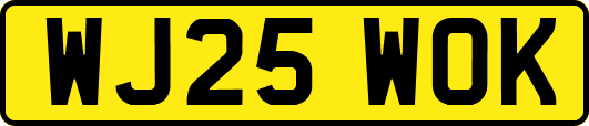 WJ25WOK