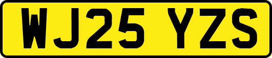 WJ25YZS
