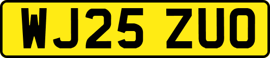 WJ25ZUO