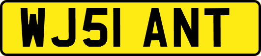 WJ51ANT