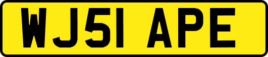 WJ51APE