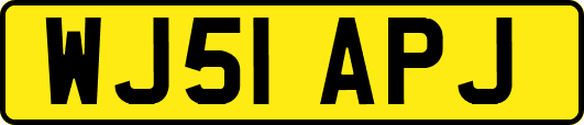 WJ51APJ