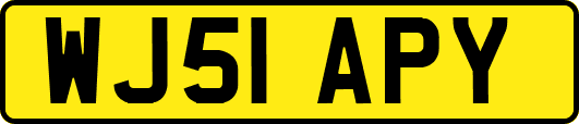 WJ51APY