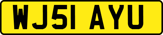 WJ51AYU