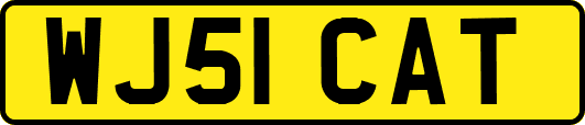 WJ51CAT