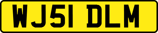WJ51DLM