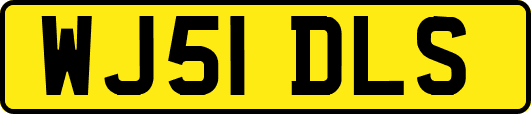 WJ51DLS