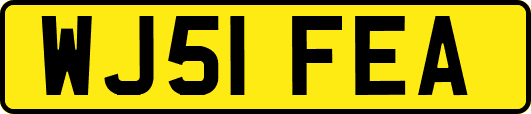 WJ51FEA