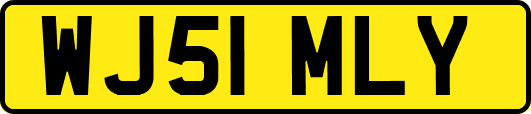 WJ51MLY