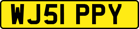WJ51PPY
