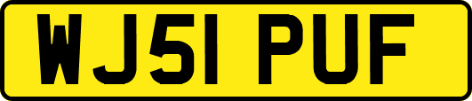 WJ51PUF