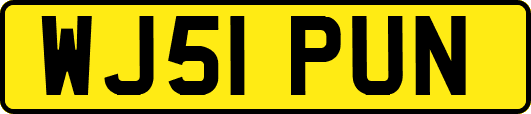 WJ51PUN