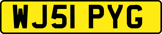 WJ51PYG