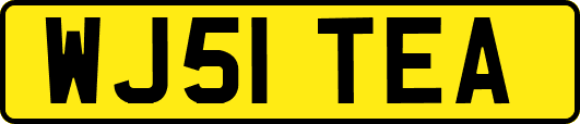 WJ51TEA