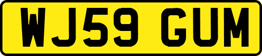 WJ59GUM