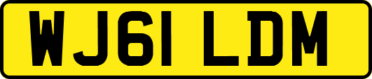 WJ61LDM
