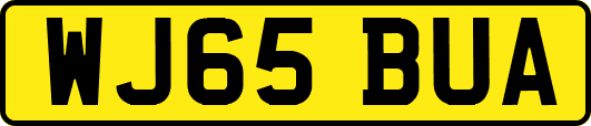 WJ65BUA