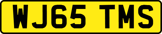 WJ65TMS