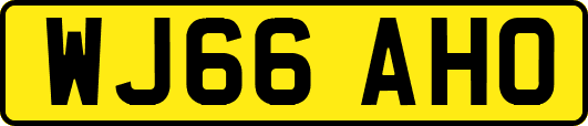 WJ66AHO