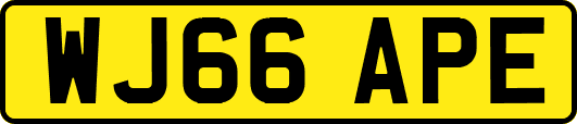 WJ66APE