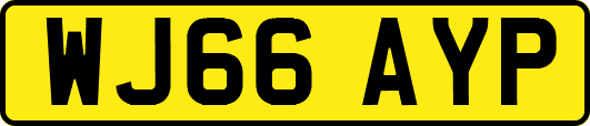 WJ66AYP