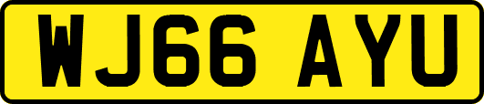 WJ66AYU