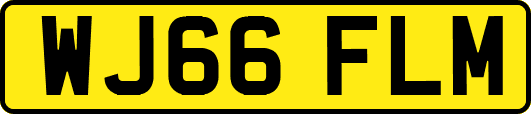 WJ66FLM