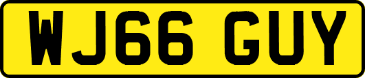 WJ66GUY