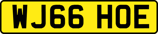 WJ66HOE