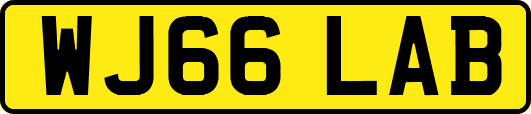 WJ66LAB