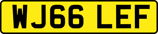 WJ66LEF