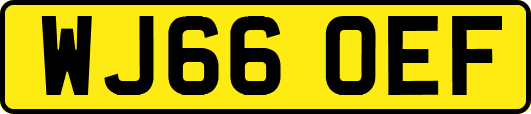 WJ66OEF