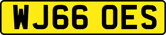 WJ66OES