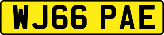 WJ66PAE