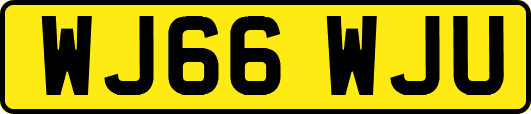 WJ66WJU