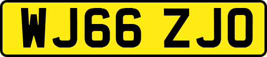 WJ66ZJO