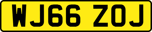 WJ66ZOJ