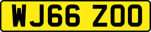WJ66ZOO