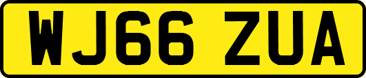 WJ66ZUA