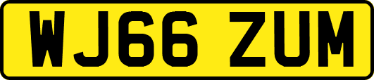 WJ66ZUM