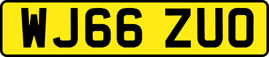WJ66ZUO