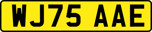 WJ75AAE