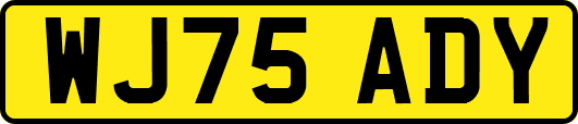 WJ75ADY