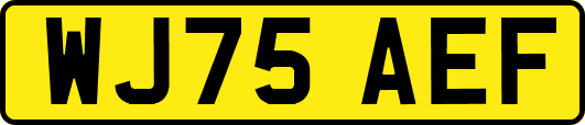 WJ75AEF