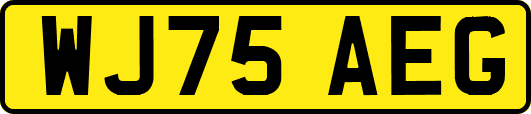 WJ75AEG