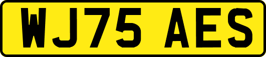 WJ75AES
