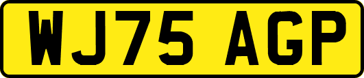 WJ75AGP